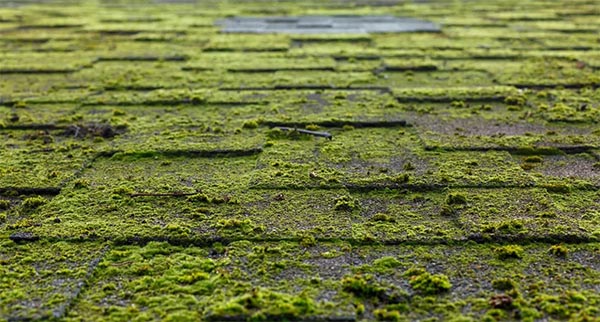 7 Causes Of Roof Damage In Nebraska