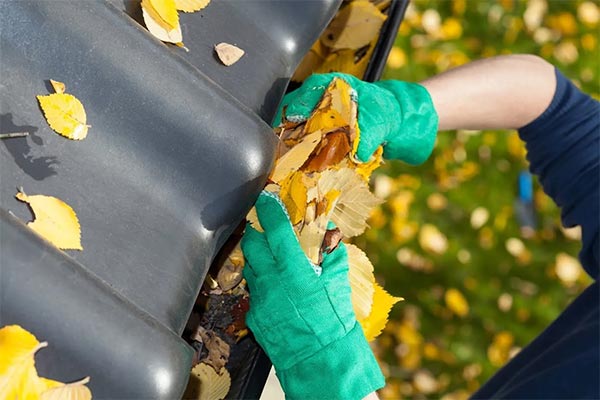 How Preventive Maintenance Is Essential For Your Roof