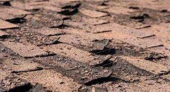 Can Your Roof Develop Heat Damage?
