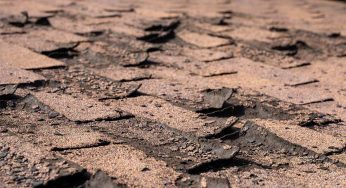 Signs It’s Time for a New Asphalt Roof